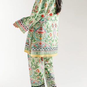 Mint Green Floral Printed Suit